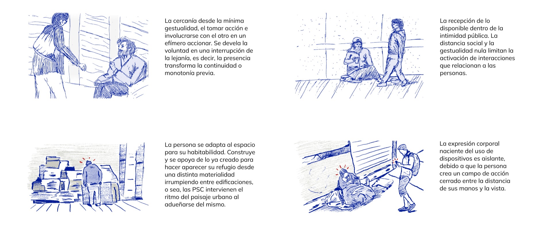 Observaciones de campo