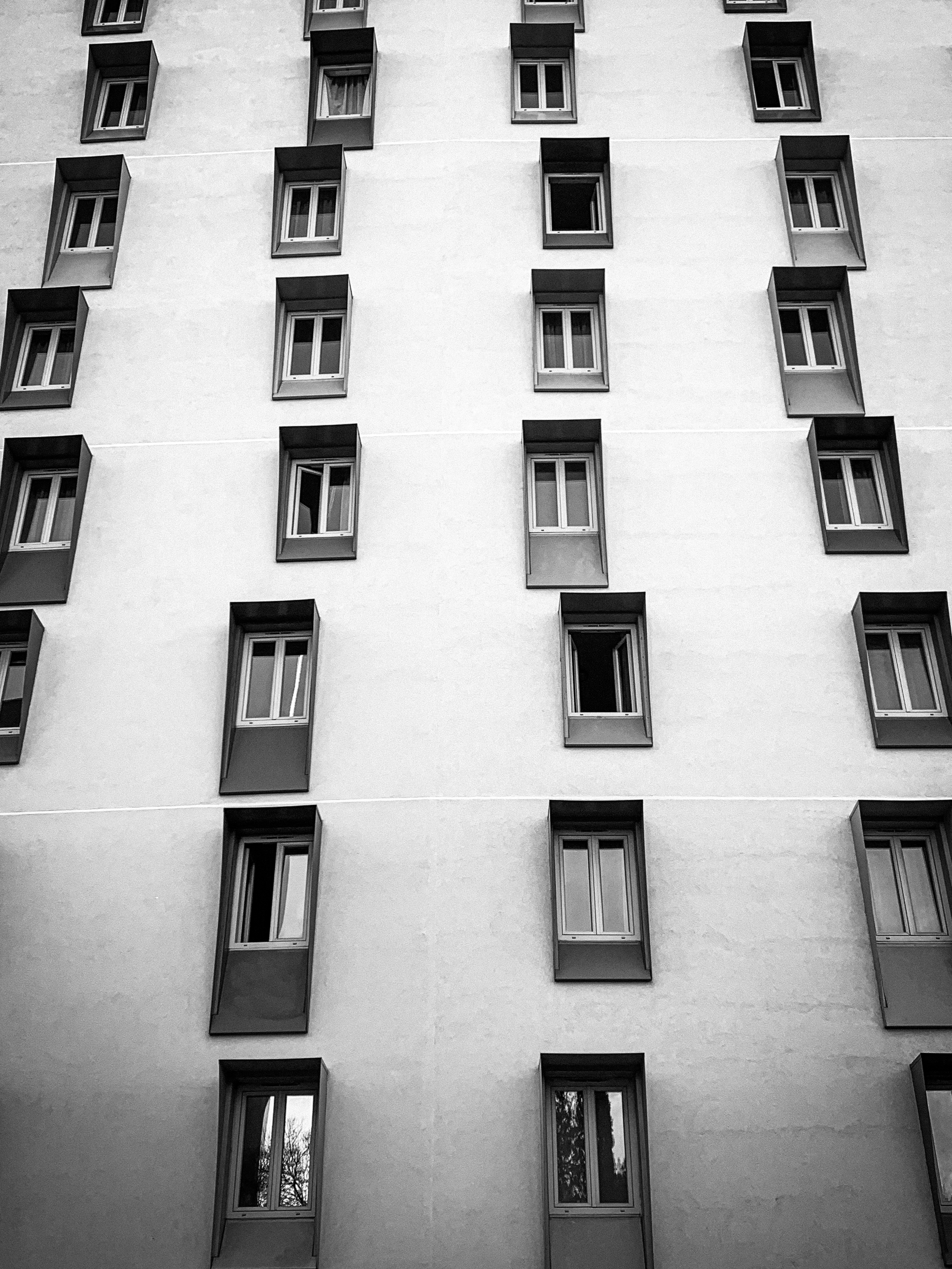 Ventanas B&N
