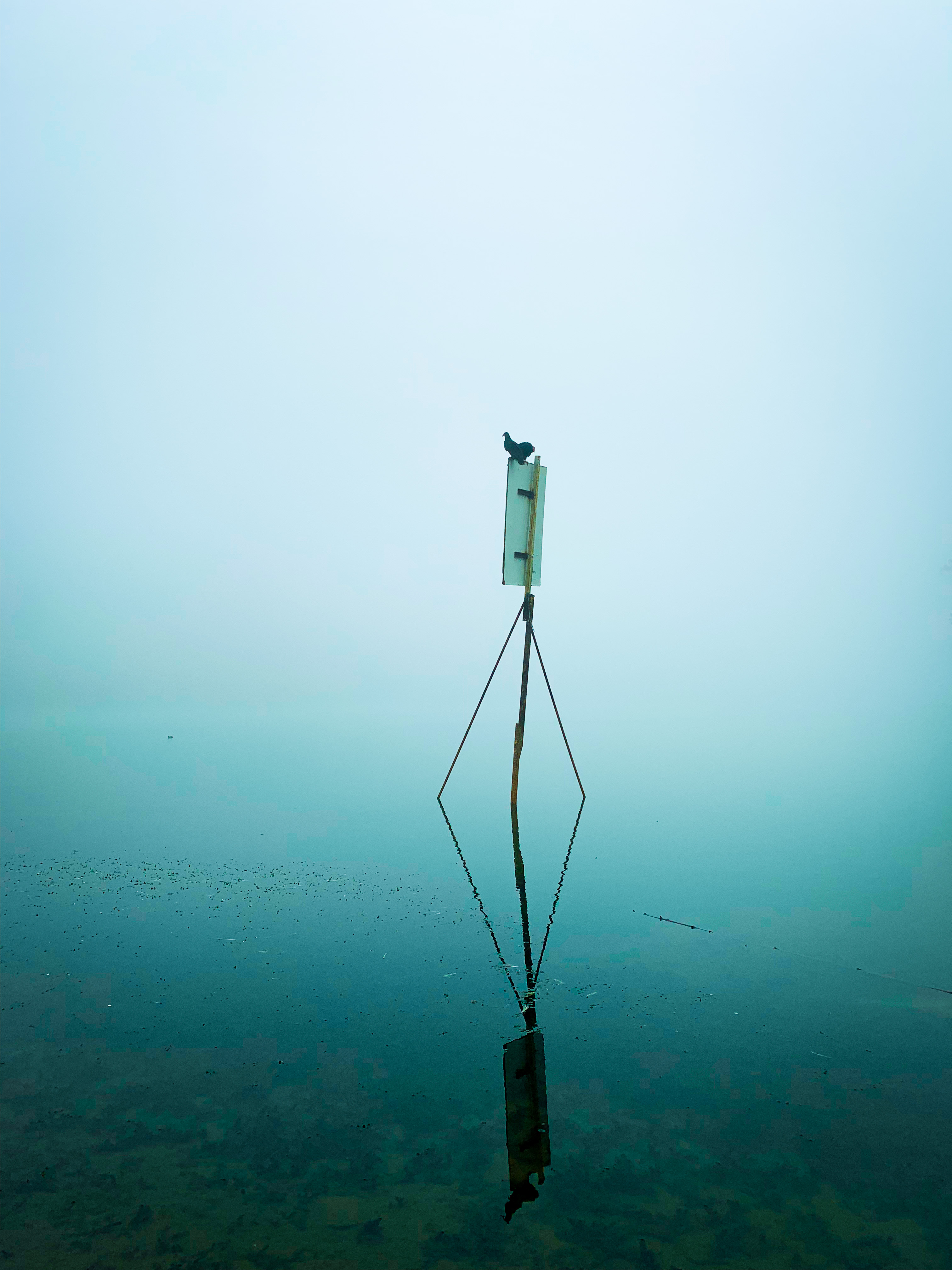 Neblina y poste