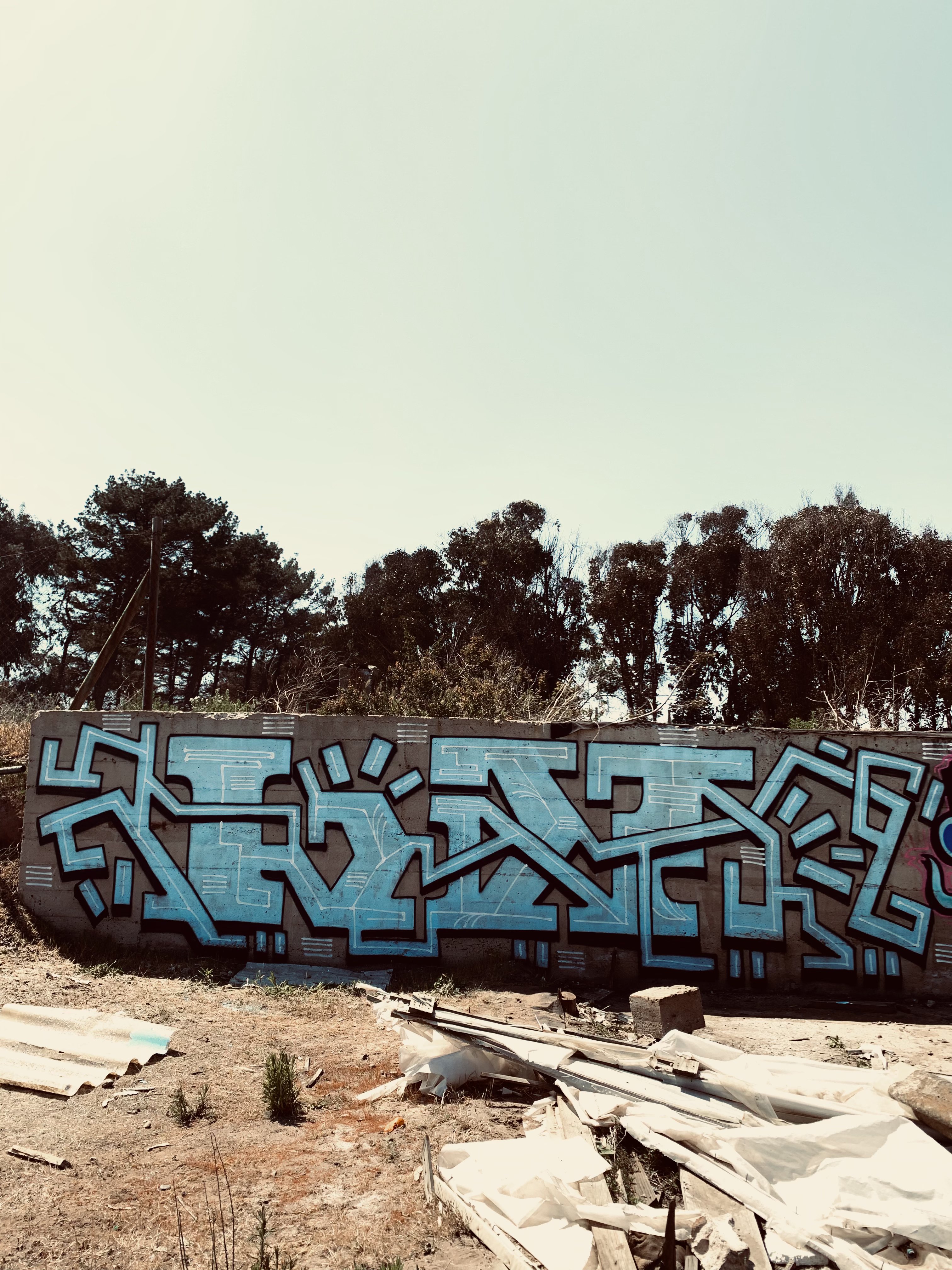 Graffiti azul campo