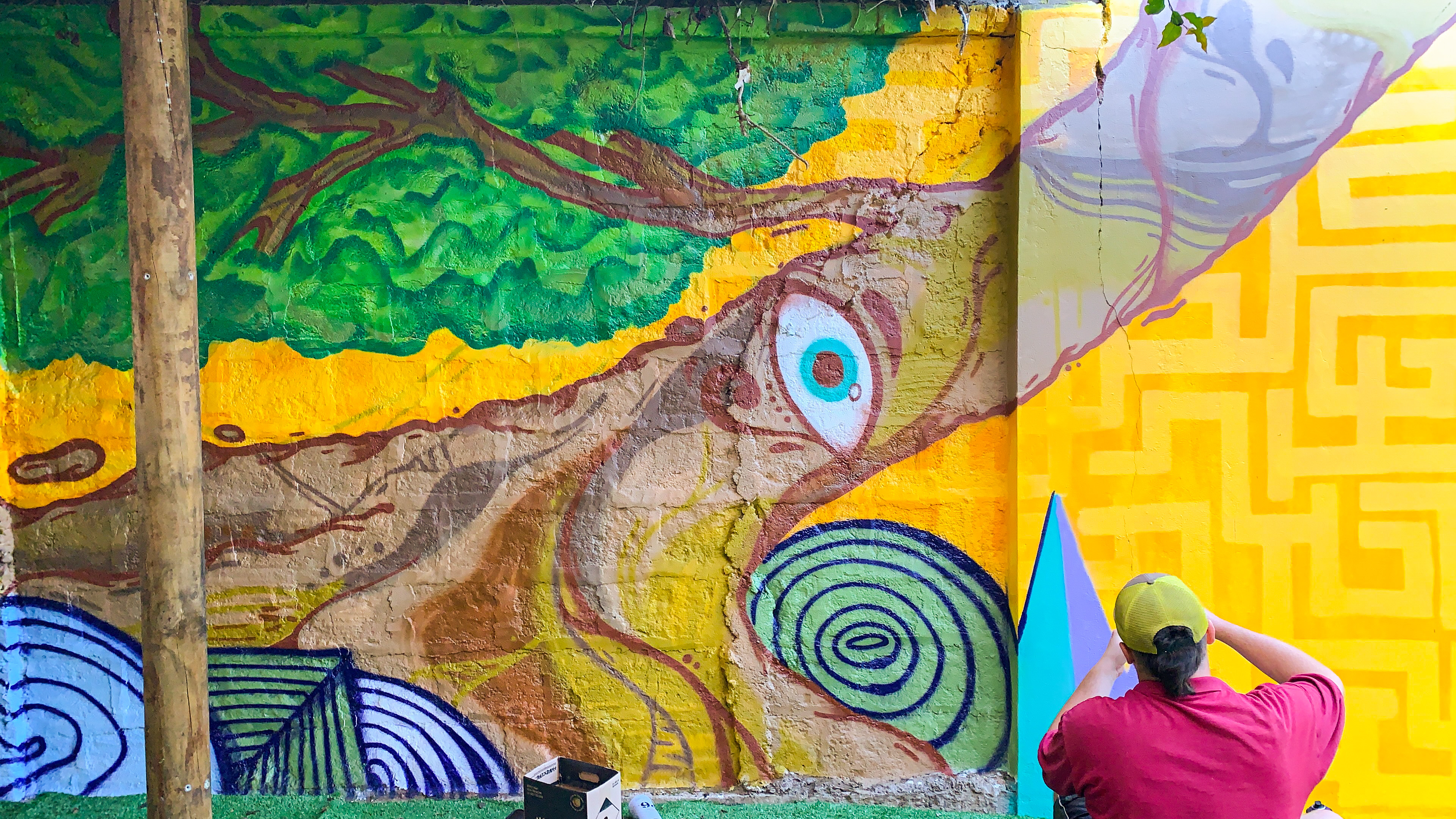 Ojo árbol en proceso